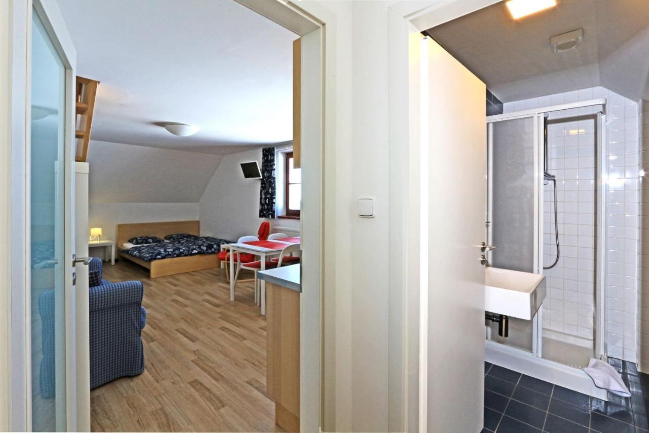 Apartmány Fox Boží Dar Exteriér fotografie